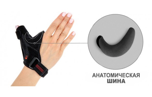 Поддерживает седловидный и метакарпофаланговый сустав