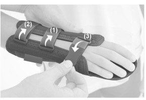 2)	Закрепите обводные ленты предплечья (1 и 2) и запястья (3)