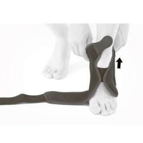 1) Наденьте скобу на ногу