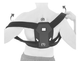 1) Проденьте ремни через пряжки (1) и наденьте бандаж (2).