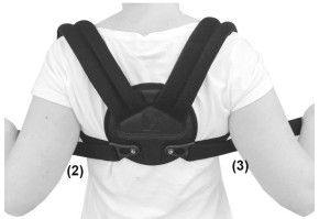 2) С помощью лент (2 и 3) установите соответствующее сжатие.