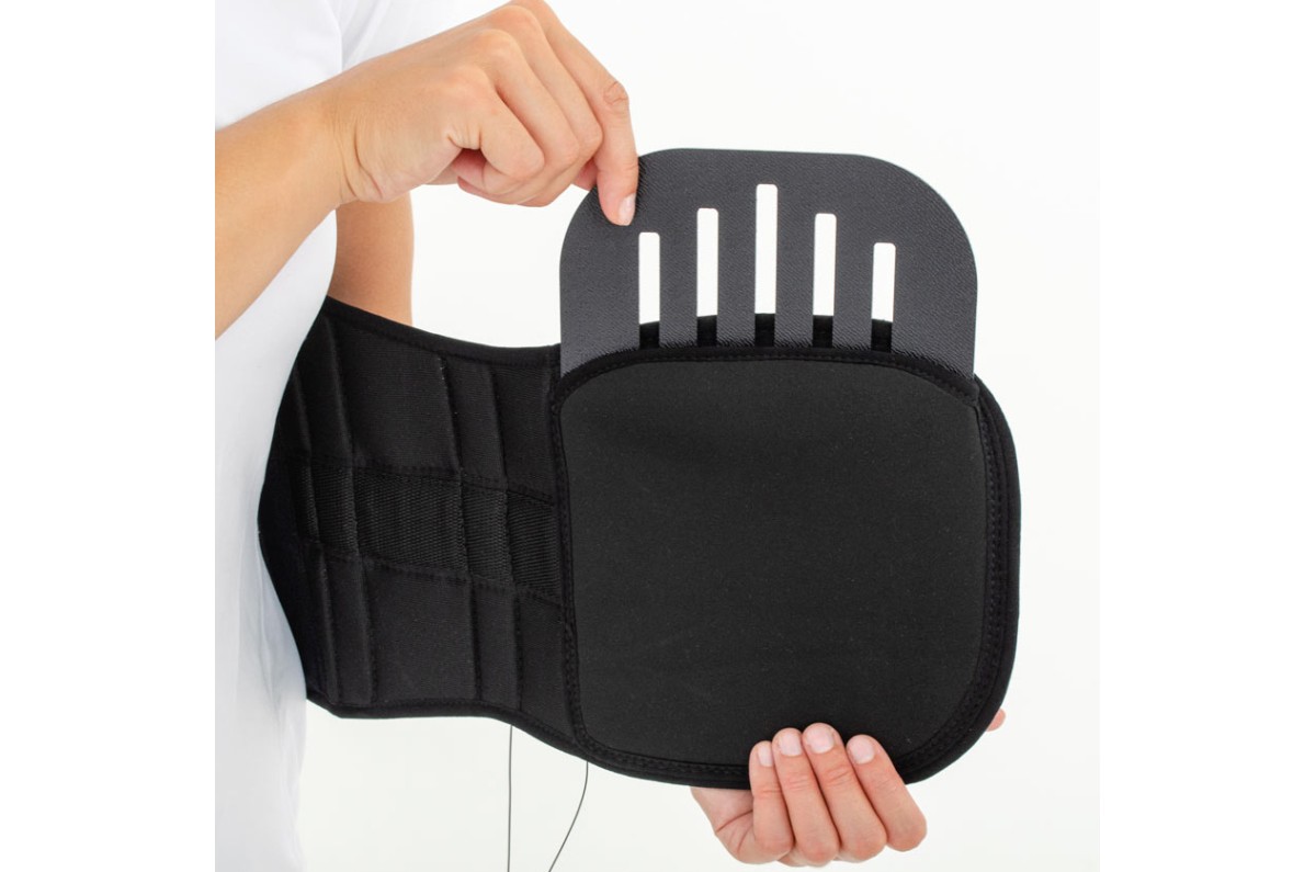    Размещение  брюшной пластины