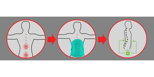 Стабилизация грудо-поясничного отдела
