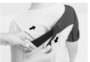 3)	Пристегните нагрудный ремень сзади