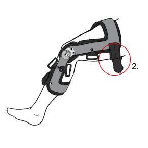 3)