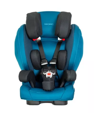 Автомобильное кресло для детей с ДЦП Thomashilfen RECARO Monza Nova 2 Reha комплект