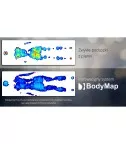 Спинка с боковинами и подголовником BodyMap C Reh4mat BM-C