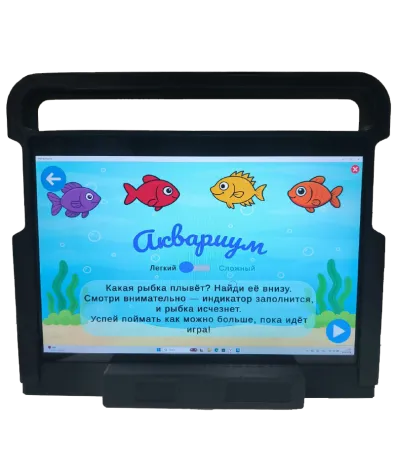 Аппаратно-программный комплекс для альтернативной и дополнительной коммуникации (АДК) Pioneer