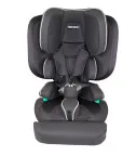 Автокресло для детей с ДЦП Thomashilfen Recaro Monza CFX Reha